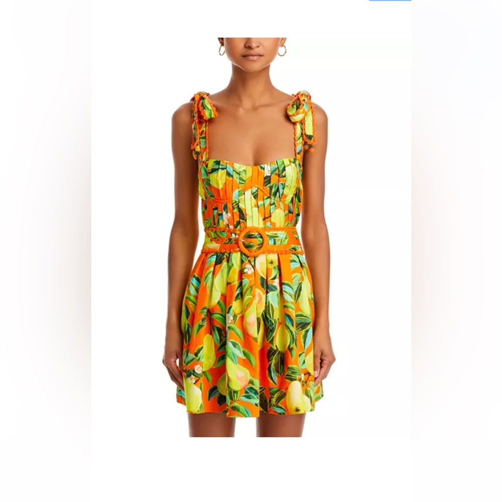 FARM Rio Organic chic pears organic cotton mini dress